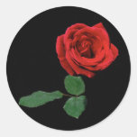 Single Red Rose Round Stickers