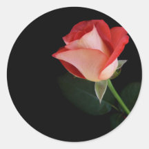 Single red rose stickers sheet
