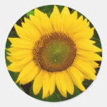 Single Sunflower Green Leaves Yellow Flower Stickers