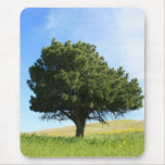 Single Tree Mousepad