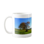 single tree mugs
