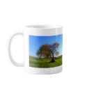 single tree mugs