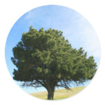 Single Tree Sticker