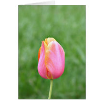 Single tulip for a single mom card