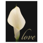 Single white calla lily letterhead