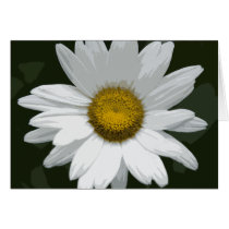 Single White Daisy Greeting Card