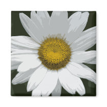 Single White Daisy Refrigerator Magnets