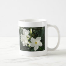 Single White Oleander 1 Mugs