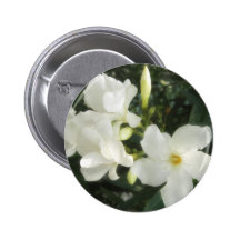 Single White Oleander 1 Pinback Buttons