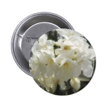 Single White Oleander 2 Pinback Buttons