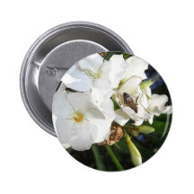 Single White Oleander with Bee 1 Pinback Buttons