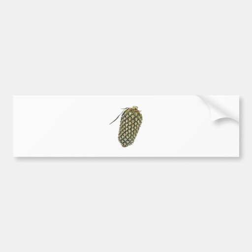 Single whole pineapple bumper sticker