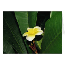 Single Yellow Flower Customizable Card