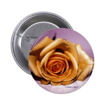 Single yellow rose contrasted against lilac back pinback button
