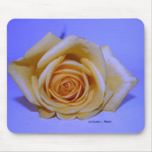 Single Yellow Rose Pale Blue background Mousepads