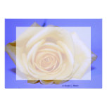 Single yellowish rose blue tinted invitations