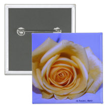 Single yellowish rose blue tinted pin