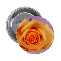 SingleRosePalePurpleBack Buttons