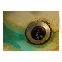 Sink Drain Greeting Cards