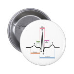 Sinus Rhythm in an Electrocardiogram ECG Diagram Pins