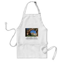 Sipapu Bridge - Natural Bridges National Monument Apron