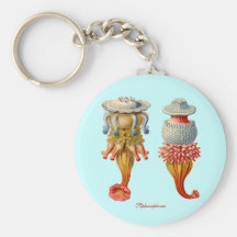 Siphonophorae - gousset principal de méduses porte-clefs