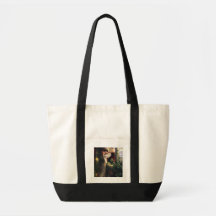 Sir Frank Dicksee, Romeo and Juliet Bag