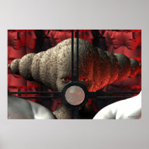 Sirene Plakat