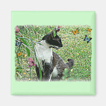 "Sissy" Black & White Cat Refrigerator Magnet