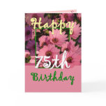 SISTER - 75th Birthday with Pink Daisy Flowers Cards