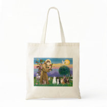 Sister Frances Blessing 5 cats Canvas Bags