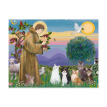 Sister Frances Blessing 5 cats Postcards