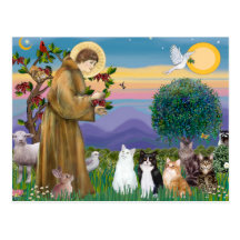 Sister Frances Blessing 5 cats Postcards