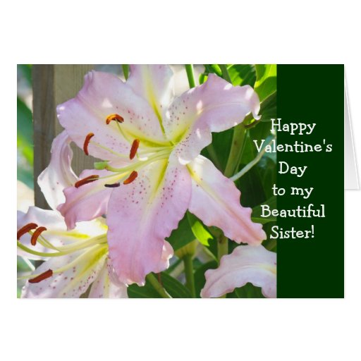 Sister Sisters Happy Valentine's Day Card Pink | Zazzle