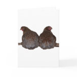 Sisters - Blue Laced Wyandotte Hens Roosting Cards