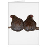 Sisters - Blue Laced Wyandotte Hens Roosting Cards