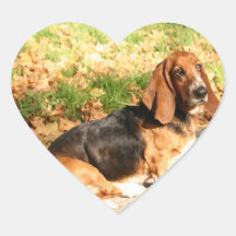 Sitting Basset Hound  Stickers