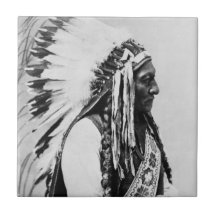 Sitting Bull, a Hunkpapa Sioux Tiles
