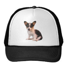 Sitting Cardigan Welsh Corgi Puppy Mesh Hat