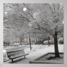 Sitting on Snow Posters