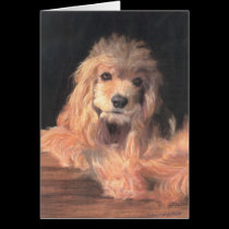 Sitting Pretty cards