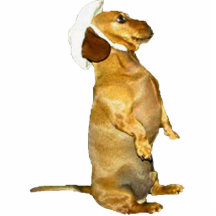 Sitting Pretty Dachshund Sculpture Photo Cutout