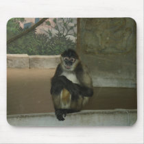 Sitting Pretty Monkey Mousepad