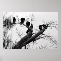 Sitting, S Cyr Print