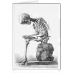 Sitting Skeleton Greeting Cards