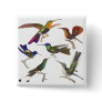 Six Different Hummingbirds - Rene Primevere Lesson
