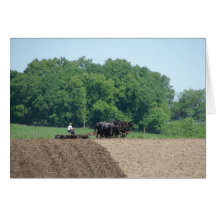 Six Horse Team at Work Card