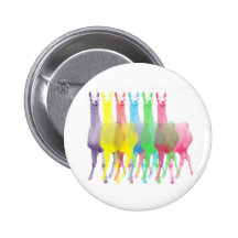 six lamas dans six couleurs de lama badge avec épingle