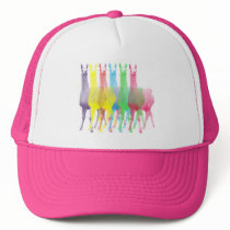 six lamas in six llama colours