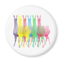 six lamas in six llama colours